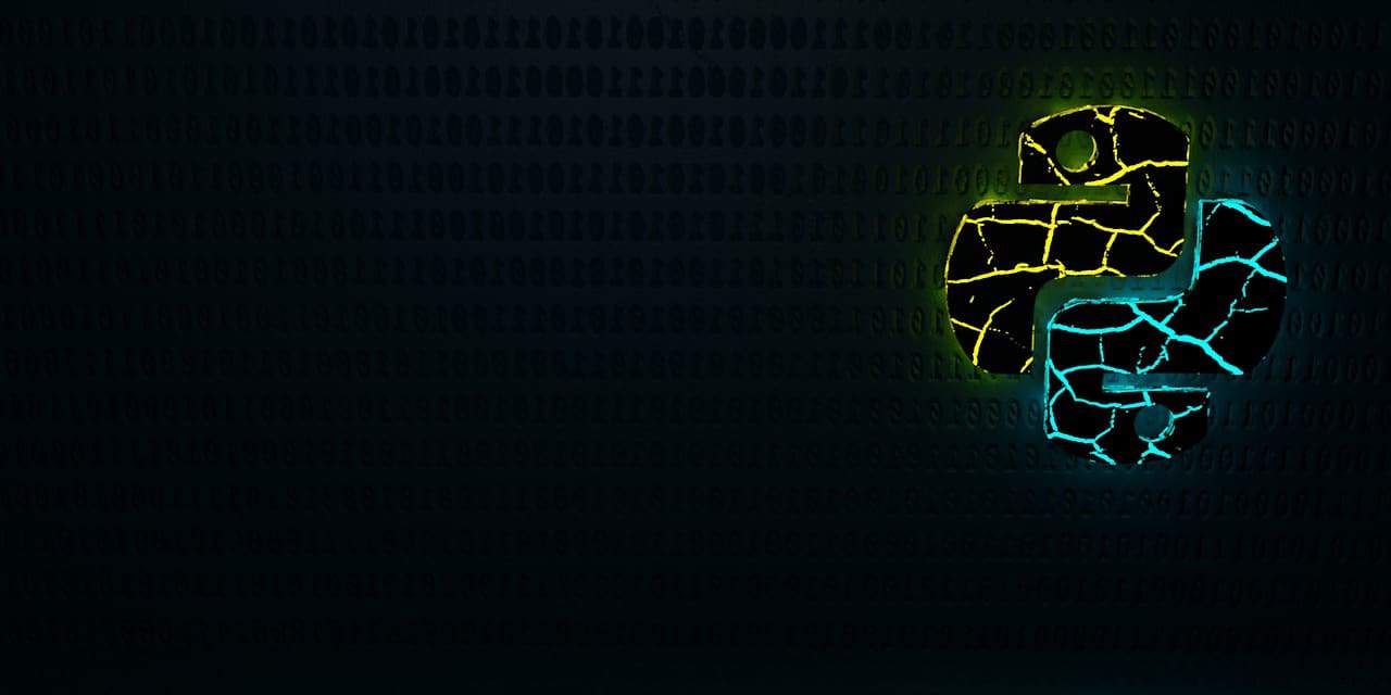 python logo